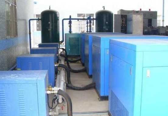 草莓视频在线观看视频