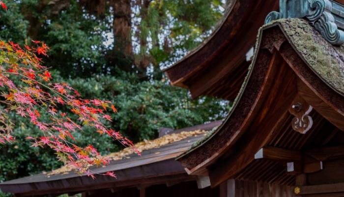 永磁变频草莓视频在线观看视频