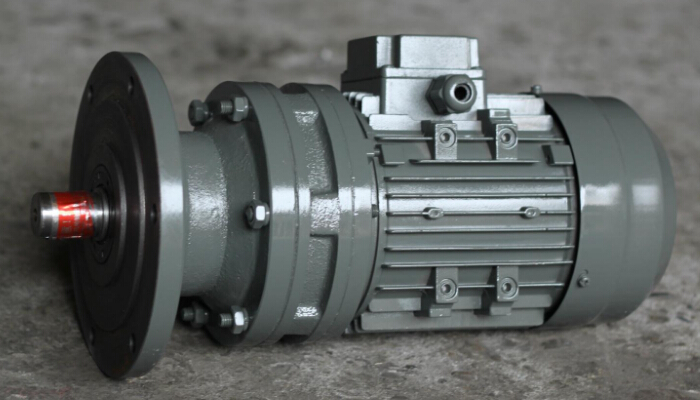 螺杆草莓视频在线观看视频